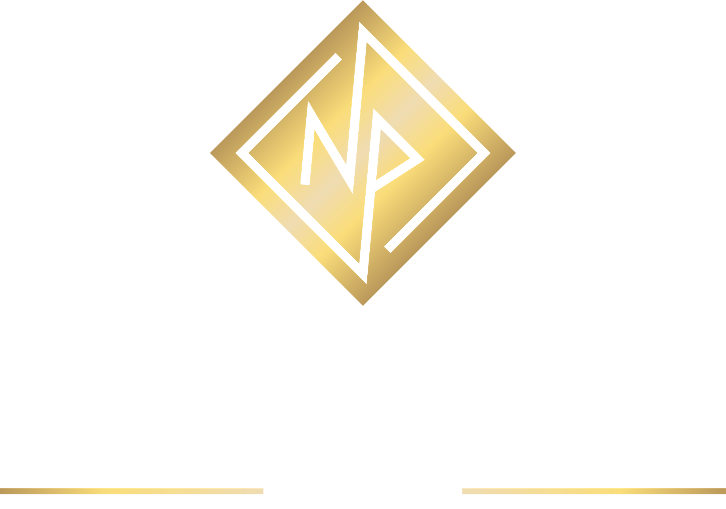 Nicole Potter Design Logo